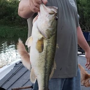 Meet your Posher, Darryl